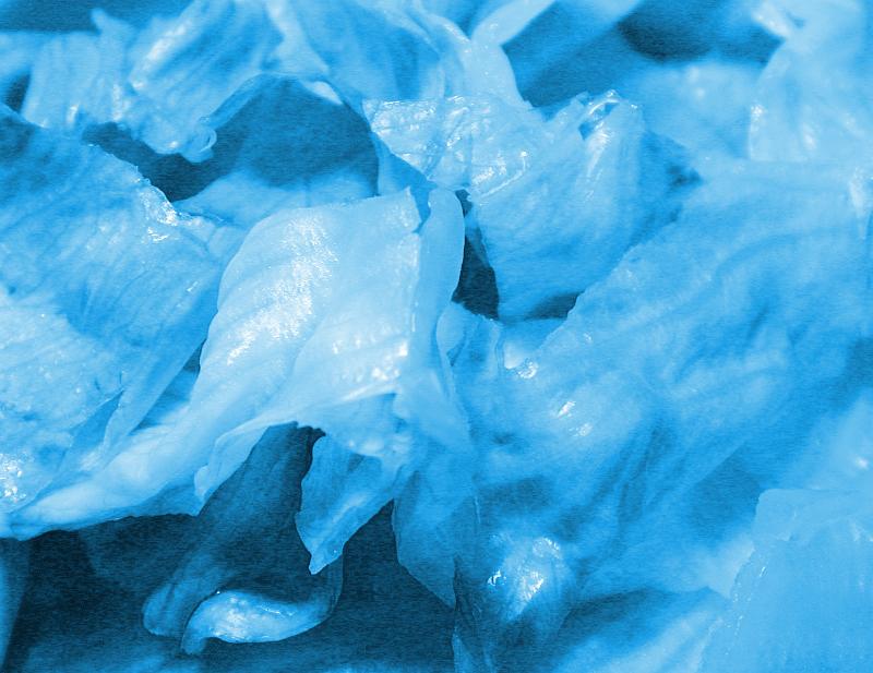 Free Stock Photo: Close up on lettuce shreds in blue color for abstract background of random natural appearance