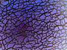 absatractmellonskin0723.jpg (805166 bytes)