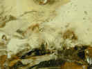 abstractglass0509.jpg (869421 bytes)