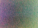 backgroundcarpet02395.jpg (910989 bytes)