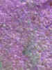 backgroundwatery00007.jpg (357941 bytes)
