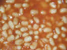 bakedbeans0526.jpg (603369 bytes)
