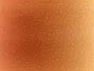 colourorangewall02163.jpg (271915 bytes)