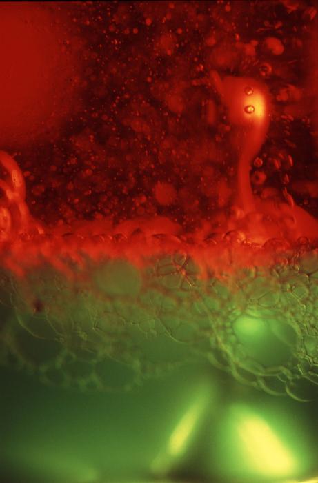 Free Stock Photo: Extreme close up of abstract background composed of thick green and red liquid with bubbles