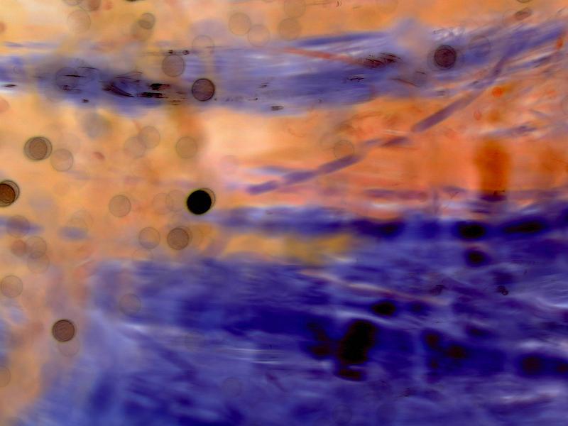 Free Stock Photo: Abstract background of faded spots surrounded with orange and smeared lines