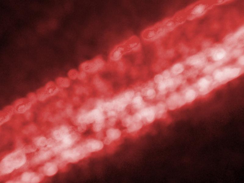 Free Stock Photo: Blurry close up of lines of light radiating red against a black background