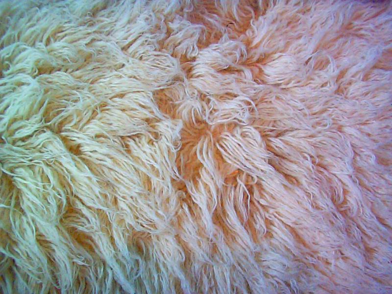 Free Stock Photo: Full frame view of rug or fur background with gradient color cast of green to red