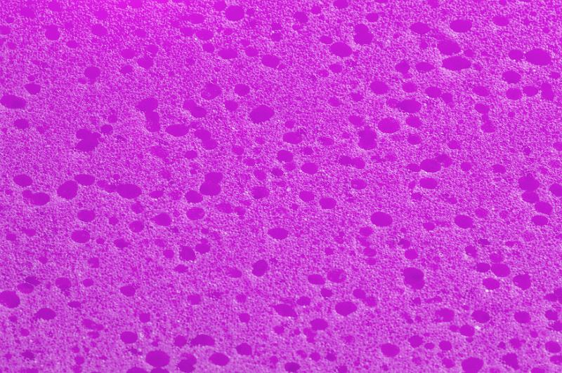 Free Stock Photo: Extreme close up of deep purple sponge with darker pock marks