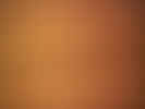 texture00164.jpg (138543 bytes)
