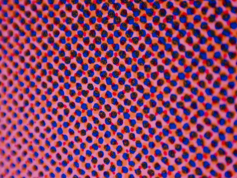 Free Stock Photo: Close up on abstract pattern of cyan, magenta and black halftone dots over pink background