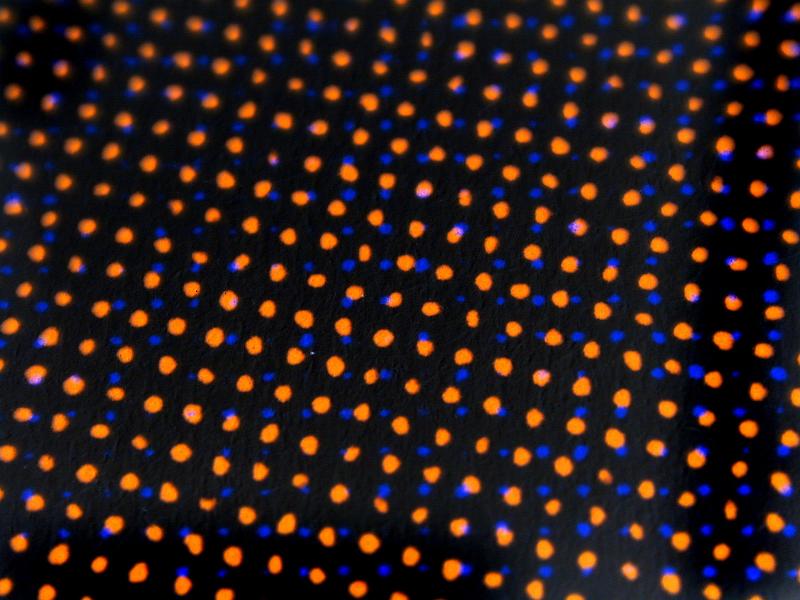 Free Stock Photo: Extreme close up view on single color orange halftone dots in a slanted row over black
