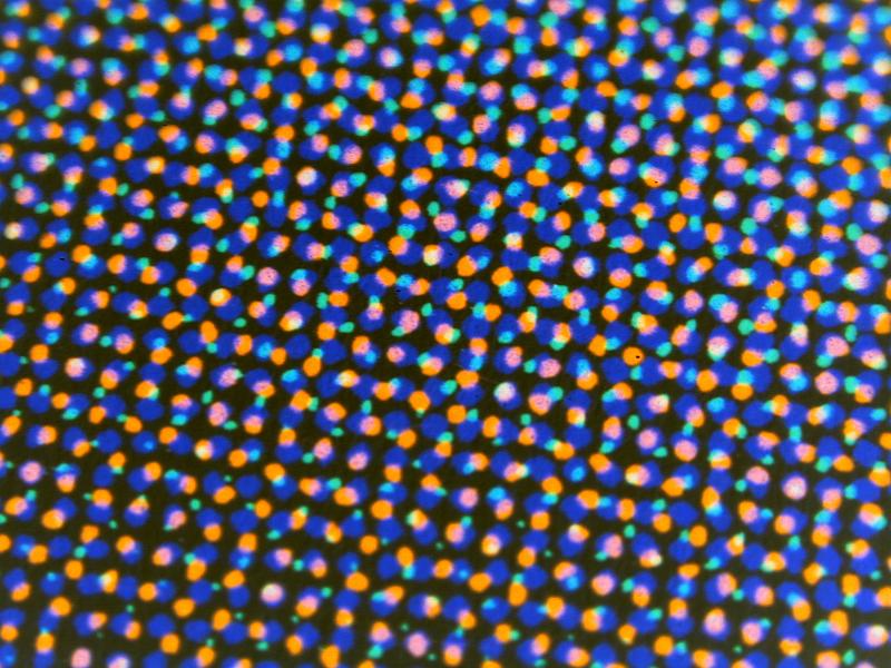 Free Stock Photo: Colorful orange and blue dots scattered in rows over dark background with edges out of focus