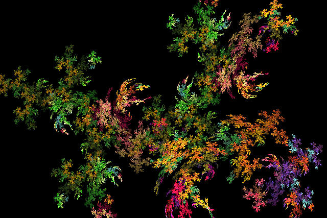 Free Stock Photo: a fern fractal leaf pattern with multicoloured leaves