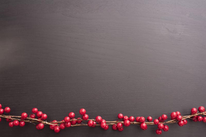 Free Stock Photo: Colourful red cranberry bottom border over a dark background with copy space