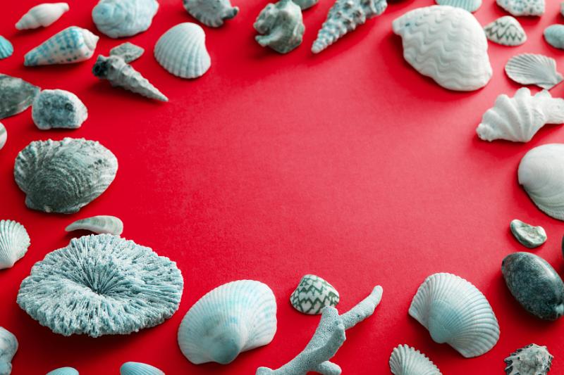 Free Stock Photo: blue tinted shells on a red background with space for text in the center