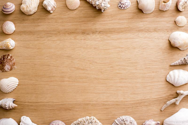 Free Stock Photo: Old seashell and coral background border on textured wood conceptual of summer vacations, marine or nautical themes