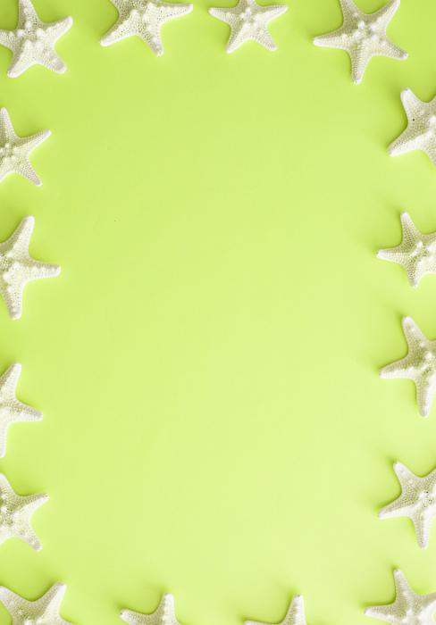 Free Stock Photo: Small white starfish border on a colorful lime green background for summer vacation, nautical or marine concepts