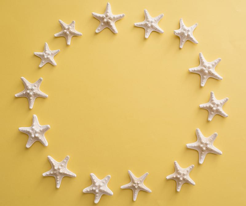 Free Stock Photo: Decorative circular frame of dried white starfish on a yellow background with copy space for marine or nautical themes