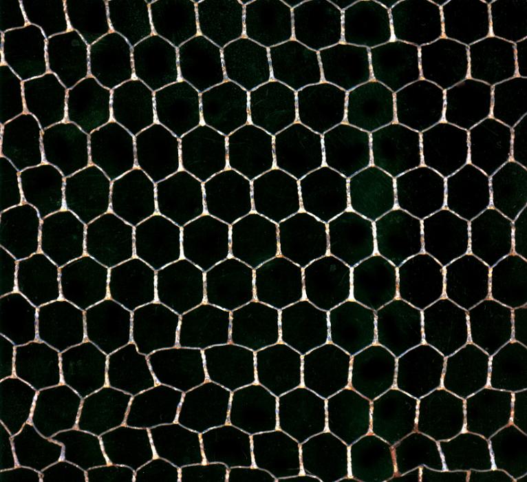 Free Stock Photo: Wire mesh background texture and pattern with metal hexagonal mesh over a black background in a repeat pattern