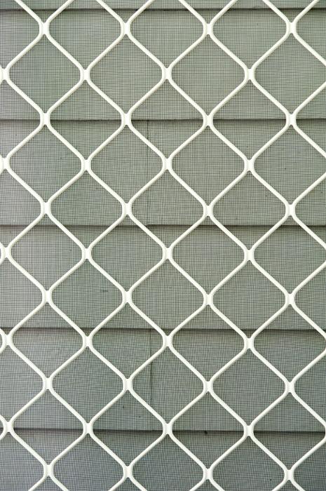Free Stock Photo: Conceptual background of patterned white fence beside green siding on a clear day