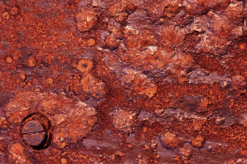 Free Stock Photo: Full frame rusted wall, large screw and worn out texture as background with copy space