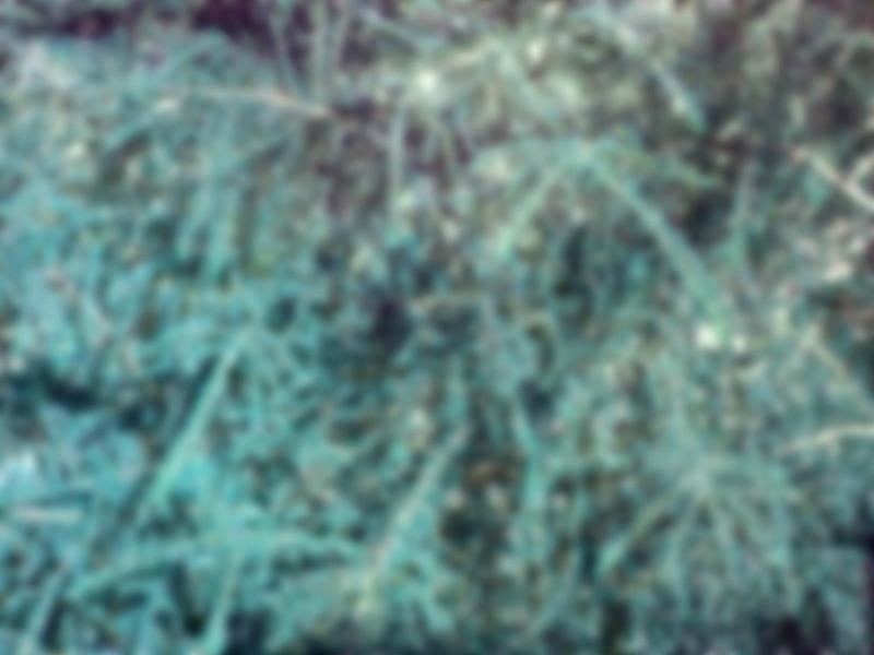 Free Stock Photo: Unique background made of a blurred textured surface colored turquoise