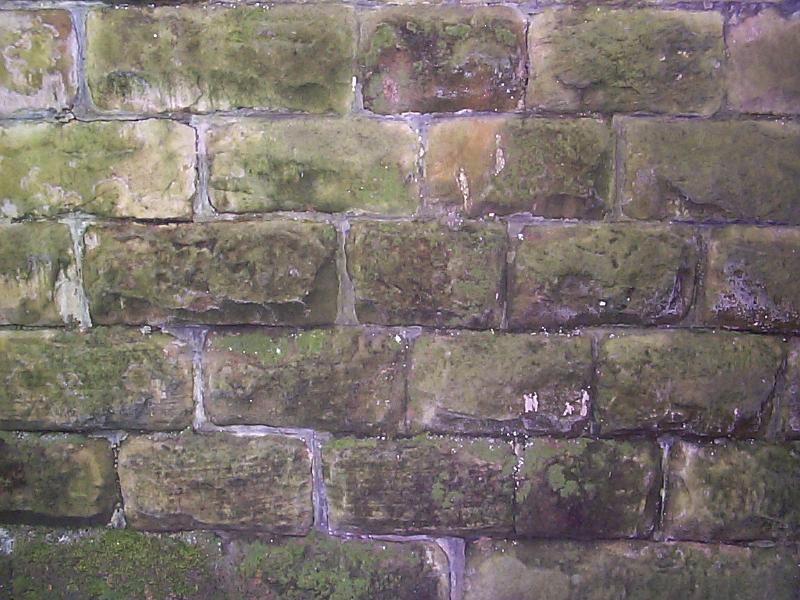 Free Stock Photo: Background of old square stone bricks partially covered with moss and mildew with worn out mortar and copy space