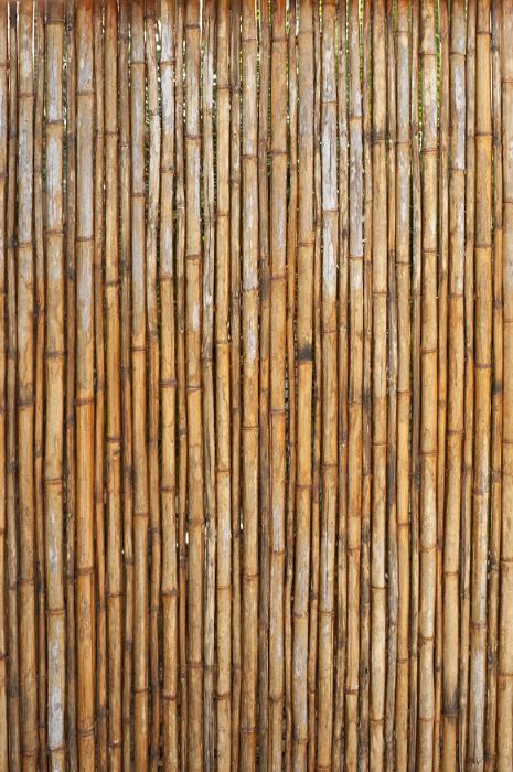 Free Stock Photo: Tall vertical old strong bamboo fence as simple nature background with copy space