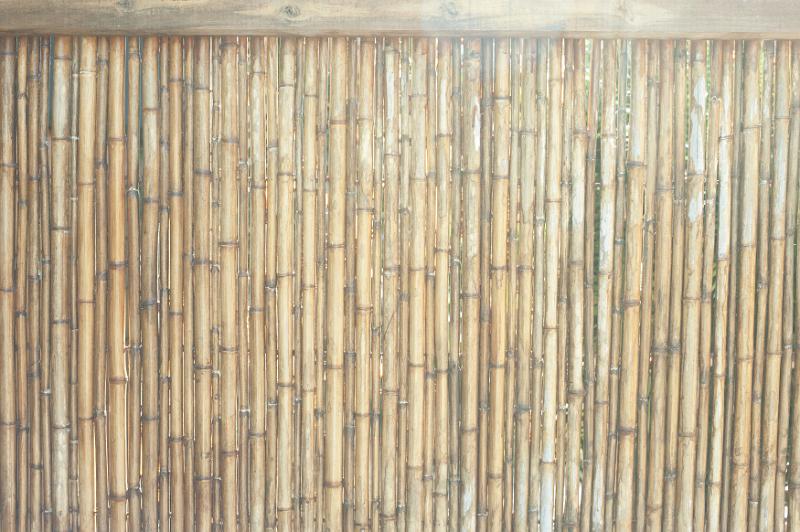 Free Stock Photo: Abstract background composed of outdoor bamboo fencing illuminated by natural light