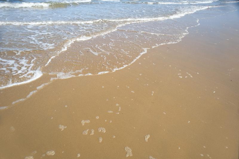 Free Stock Photo: Wet beach sand with scattered frothy bubbles from the tide at the edge of the sea with lapping water