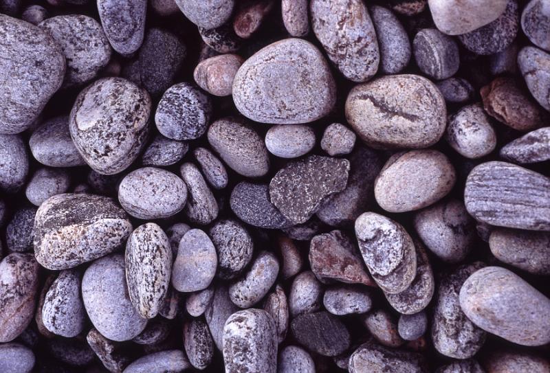 Free Stock Photo: Rounded or water worn pebbles in shades of grey background texture and pattern viewed in a layer from overhead