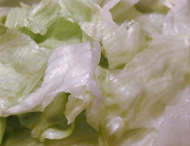 Free Stock Photo: Close up on sliced pieces of iceberg lettuce leaves as background about food and nutrition