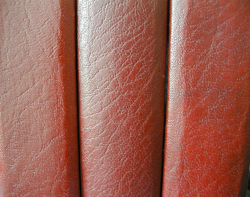 Free Stock Photo: Abstract background composed of three cracked red leather book spines