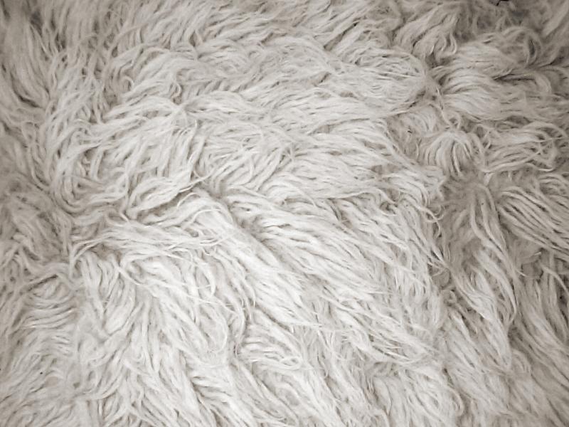 Free Stock Photo: Shaggy soft clumped white rug full frame background with copy space