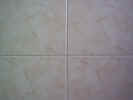 texture00545.jpg (135891 bytes)