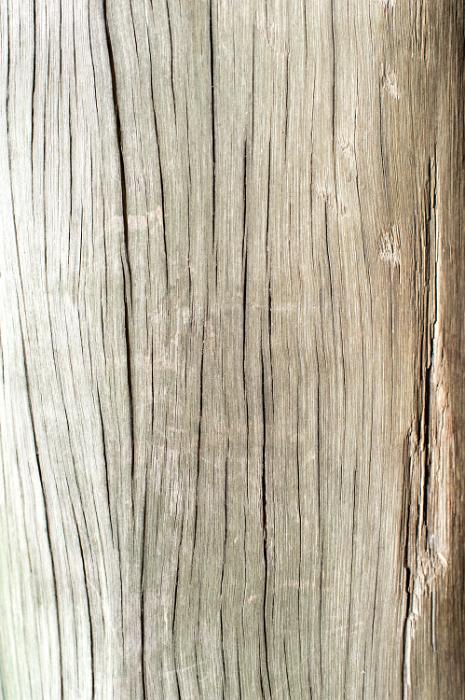 Free Stock Photo: cracked and split wood post