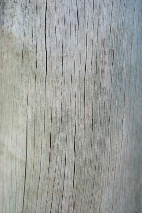 Free Stock Photo: old cracked and split wooden surface