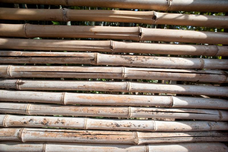 Free Stock Photo: dry bamboo cane fence