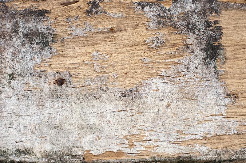 Free Stock Photo: paint rubbed off a rotten old wood plank