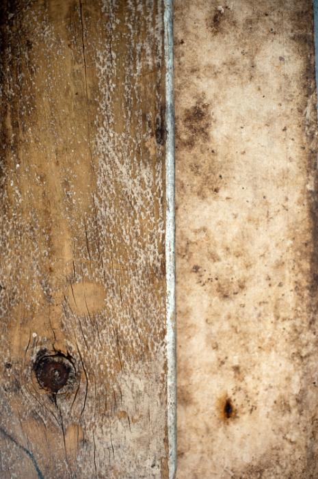 Free Stock Photo: old worn wooden surface boards