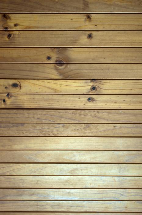 Free Stock Photo: horizontal tongue and groove wood plank backdrop
