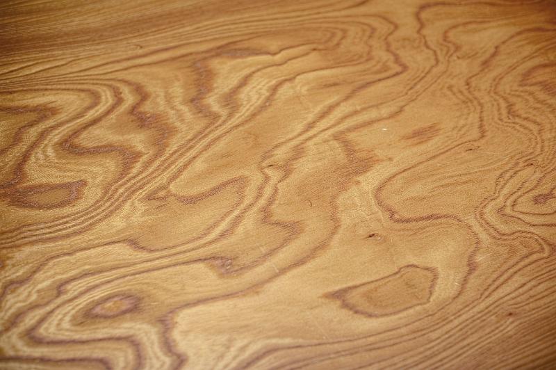 Free Stock Photo: large open grain pattern of tangentially sawn wood