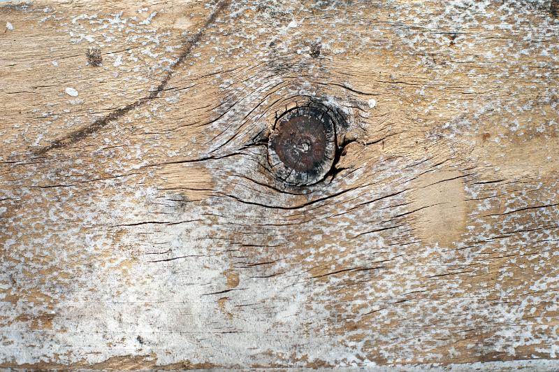 Free Stock Photo: old painted wood plank with a large knot