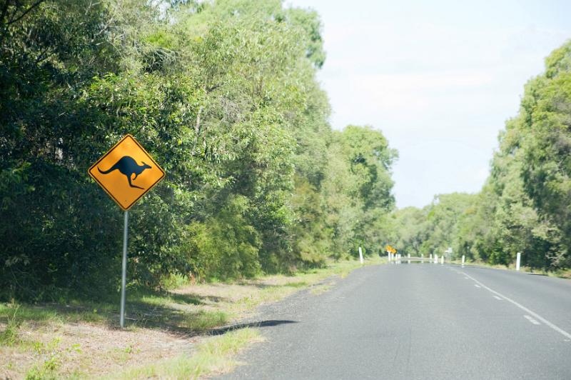 Free Stock Photo: Kangaroo warning sign by road in Australia