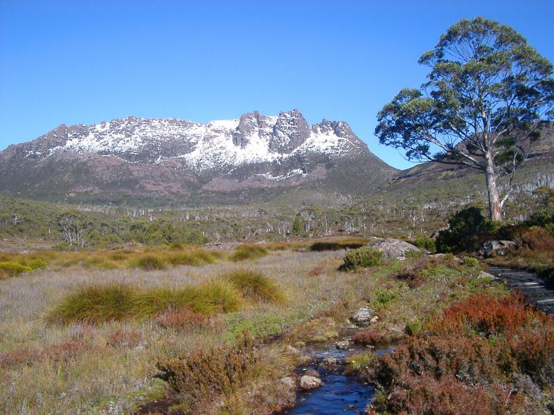 Free Stock Photo: Overland trail with snow on the summit of Mount Ossa, Tasmania, Australia in a scenic landscape wilderness view, travel and tourism concept
