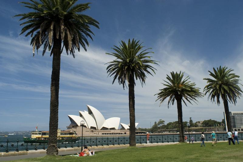 Free Stock Photo: Circular Quay in Sydney harbour with a view through tropical palm trees of the iconic Sydney Opera House, Australia in a travel concept