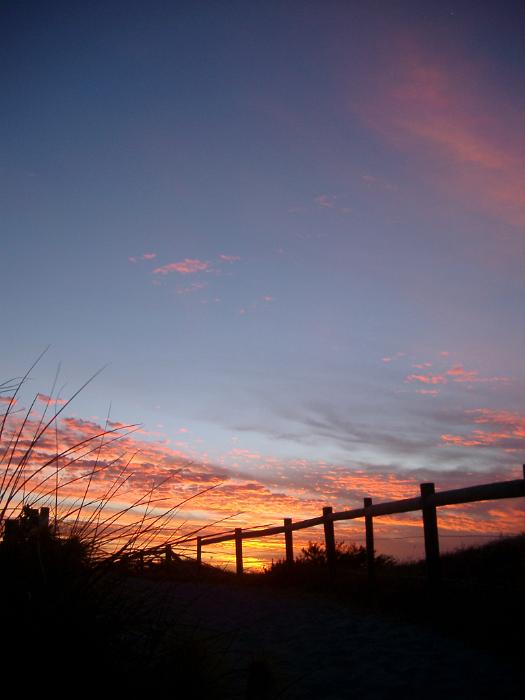 Free Stock Photo: beautiful sunset and silhouetted fence, in western australia