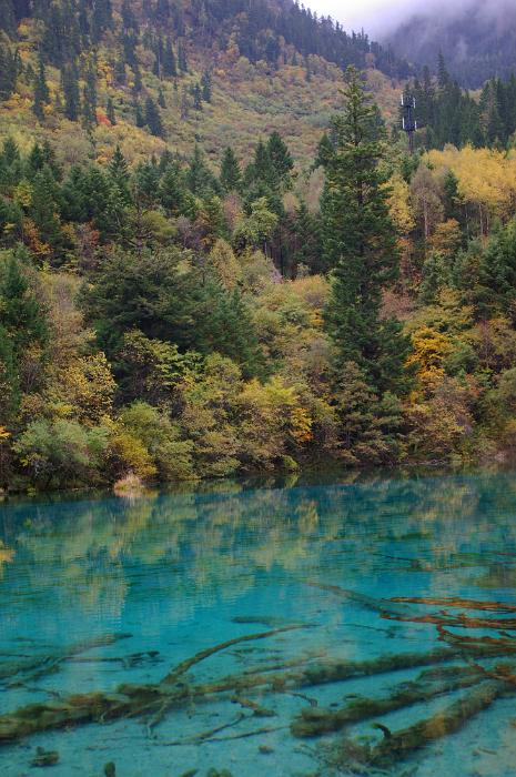 Free Stock Photo: Cyan blue mountain lake surrounded by forests with mountain peaks and mist in the background in a stunning natural background