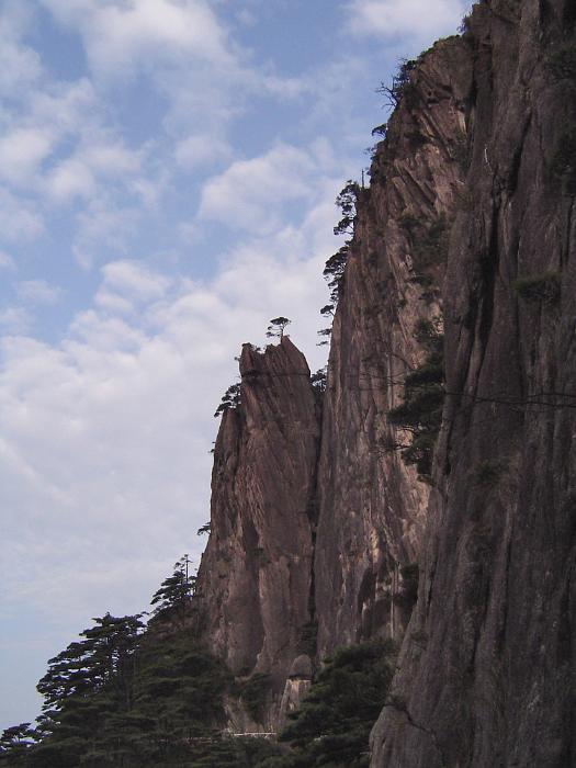 Free Stock Photo: Scenic of Huangshan Yellow Mountain Range - Low Angle View of Steep Huangshan Cliff with Trees Framed by Blue Sky with White Clouds in Anhui Province, China
