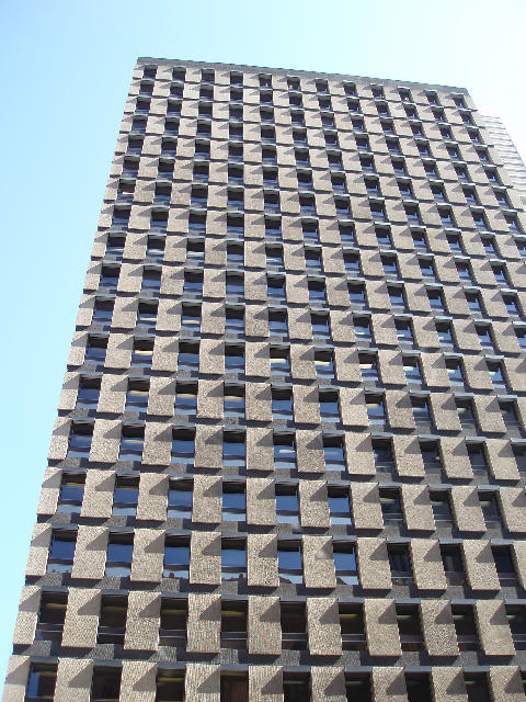 Free Stock Photo: rows of office windows create the concrete urban skyline